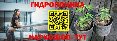стафф Гагарин