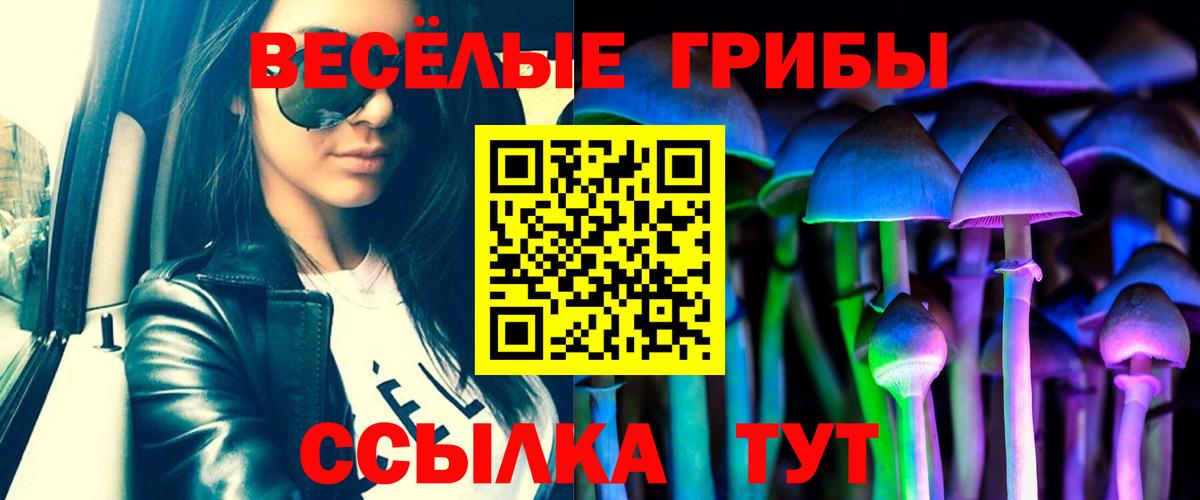 Псилоцибиновые грибы GOLDEN TEACHER Новоалтайск